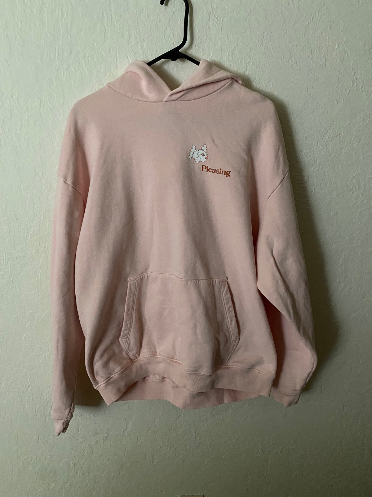 Harry Styles Pleasing Coachella Hoodie