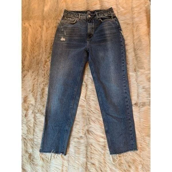 BDG Urban Outfitters Distressed Mom Jeans 29W