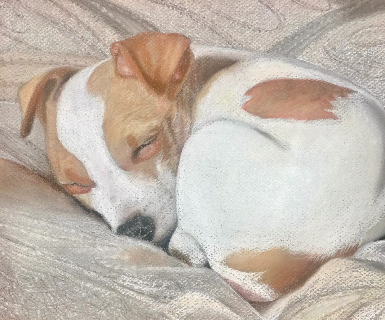 Original drawing of dog