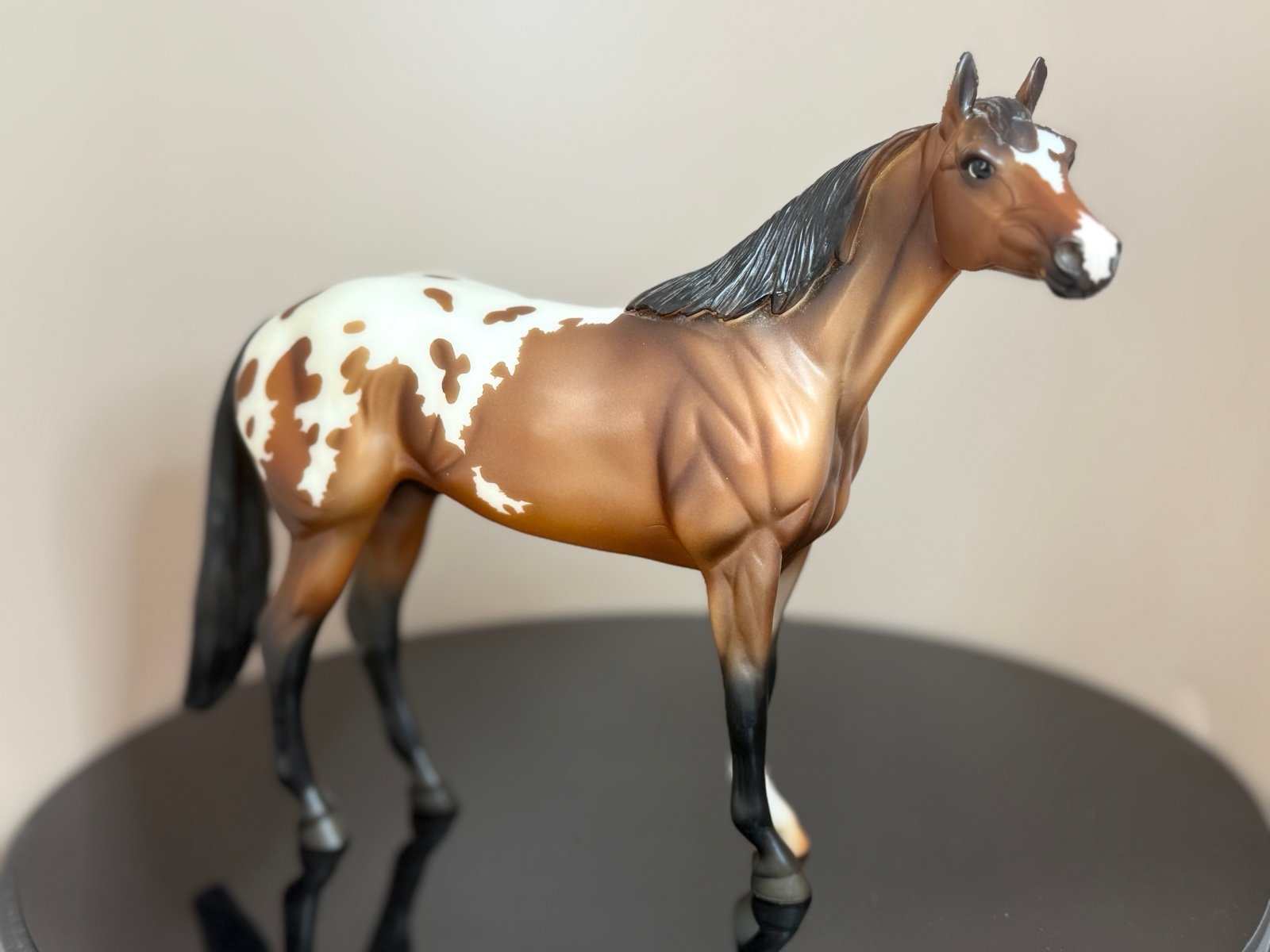 Breyer show Stockhorse Appaloosa Calvin Web Special only 500 made 2017