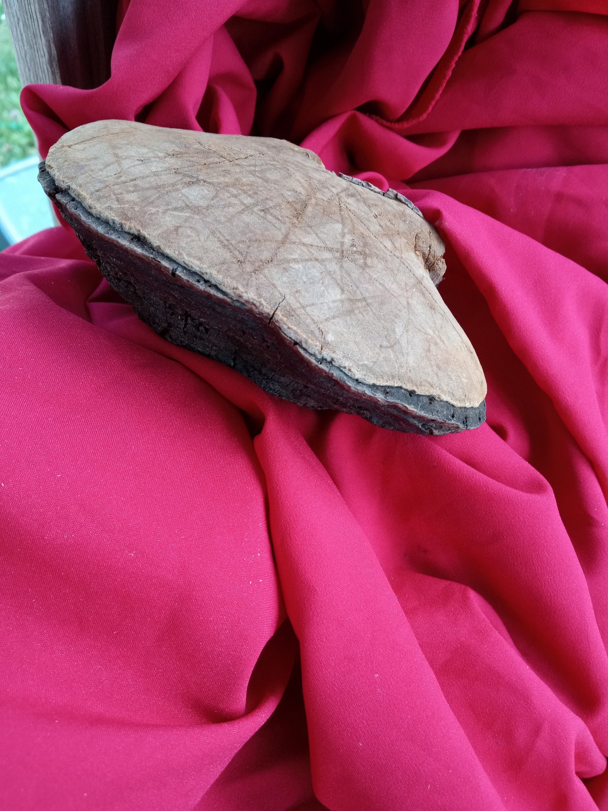 Organically harvested northern Maine chaga