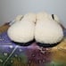 Birkenstock Boston Women's Big Buckle Pap Teddy Clog