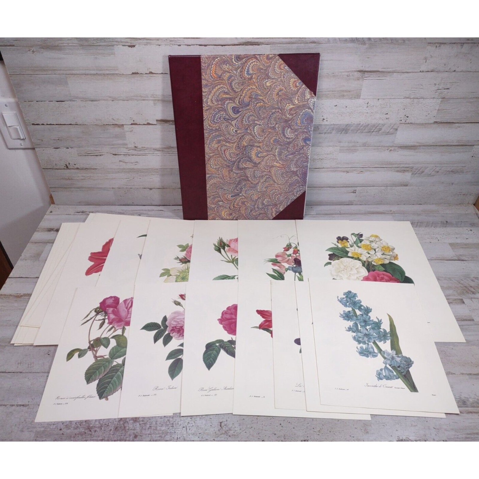 28 Vintage Pierre Joseph PJ Redoute Langlois Victor Botanical Art Prints w/ Case