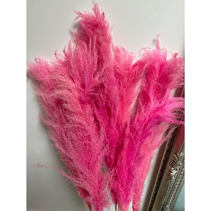 Pink Grass Total of 8
