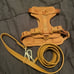 Wild One Cocoa Harness & Leash