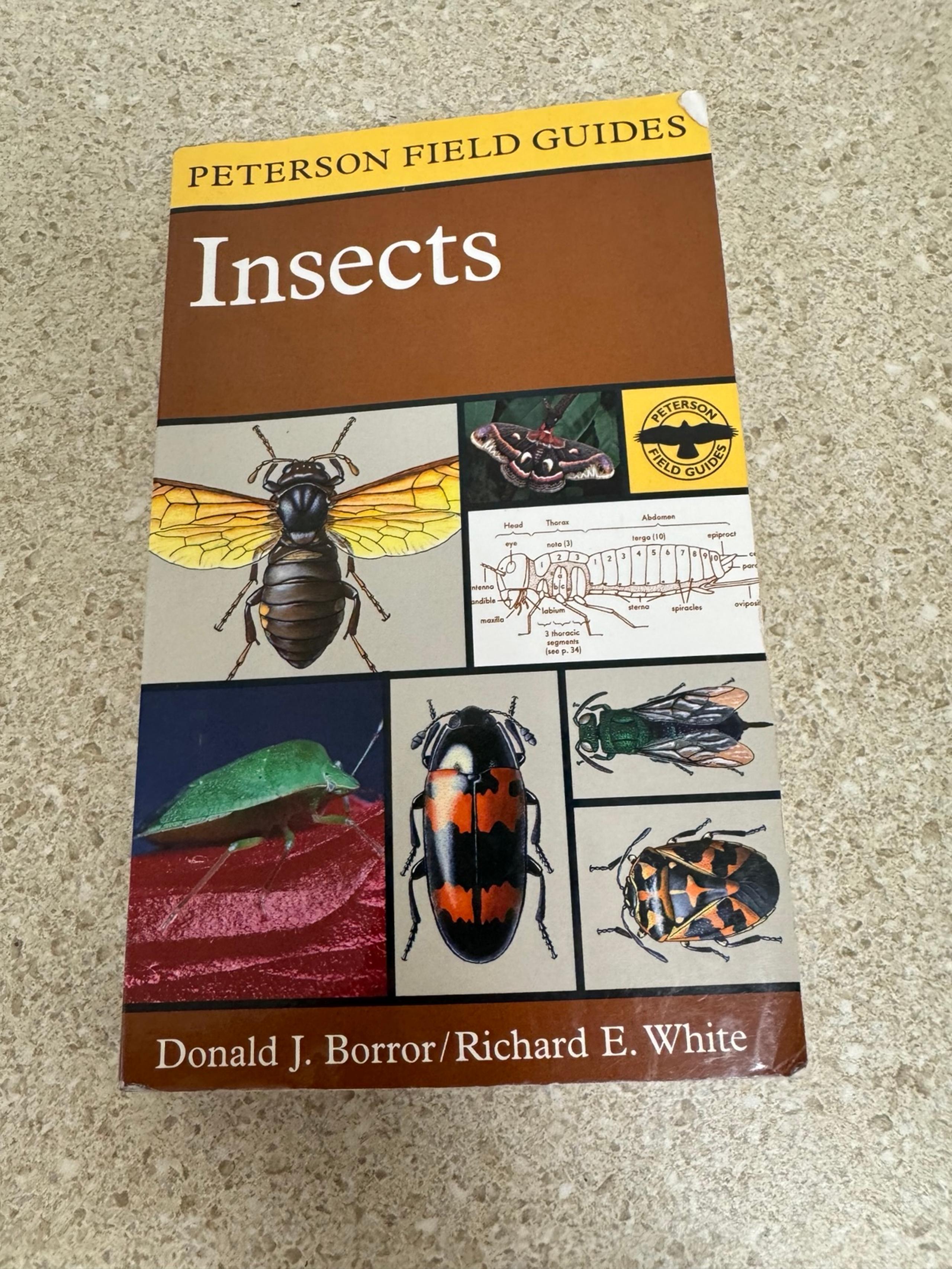 Peterson Field Guides Insects