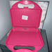 Vintage Sandylion Sticker Case Barbie Pink PLEASE READ