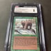 MTG - Grizzly Bears - Alpha - CGC 8