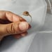 14 karat gold Virgin Mary ring