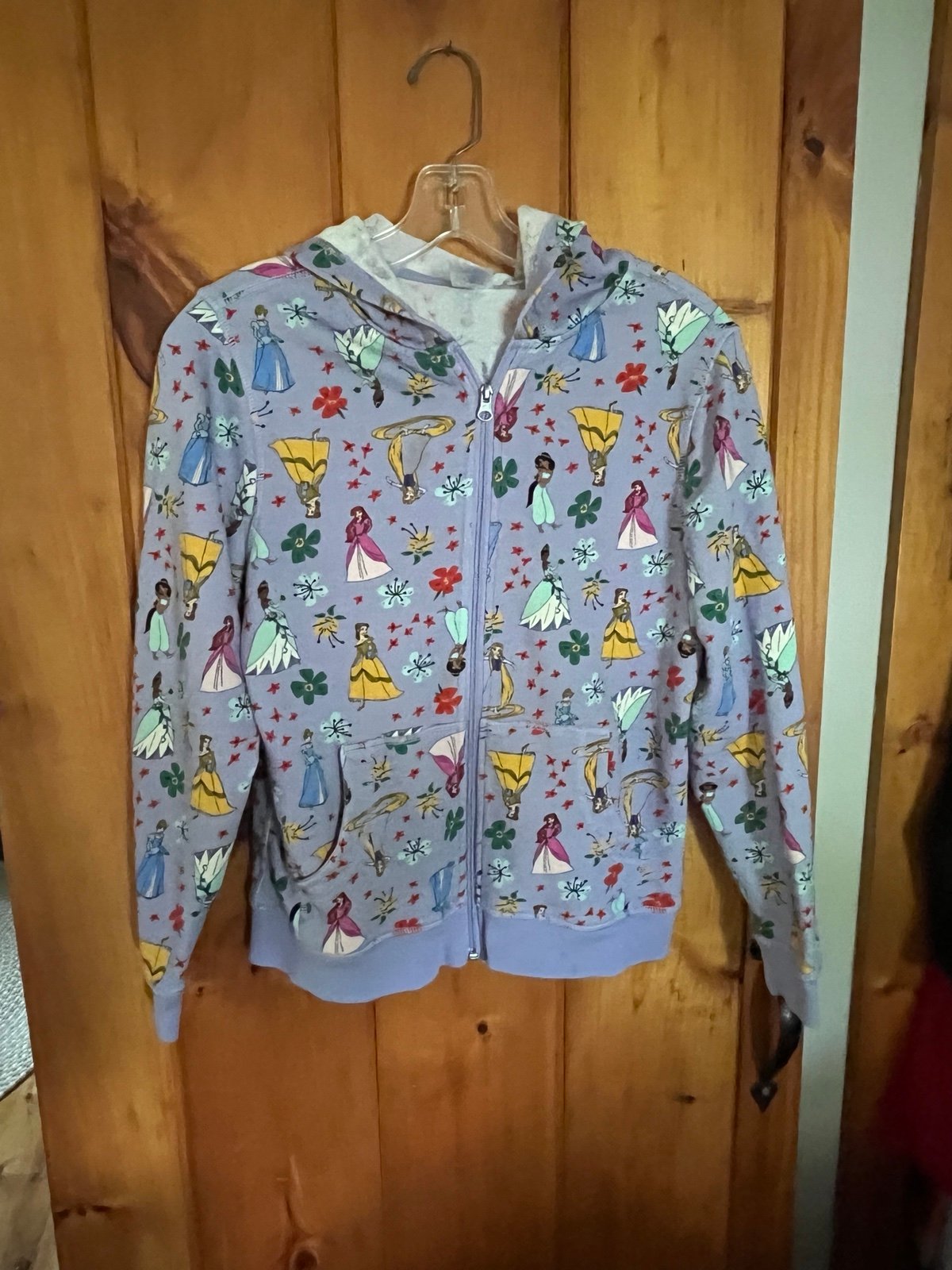 Disney Princess zipper down hooded sweatshirt.