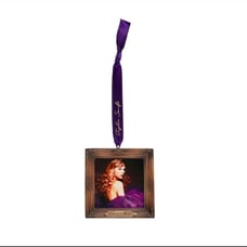 NEW Taylor Swift Speak Now Frame Ornament