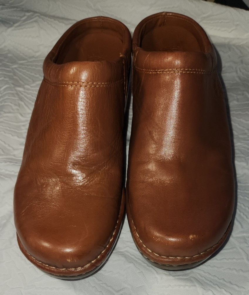 Ariat clogs