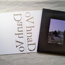 Yang Vo - Special Issue 2020