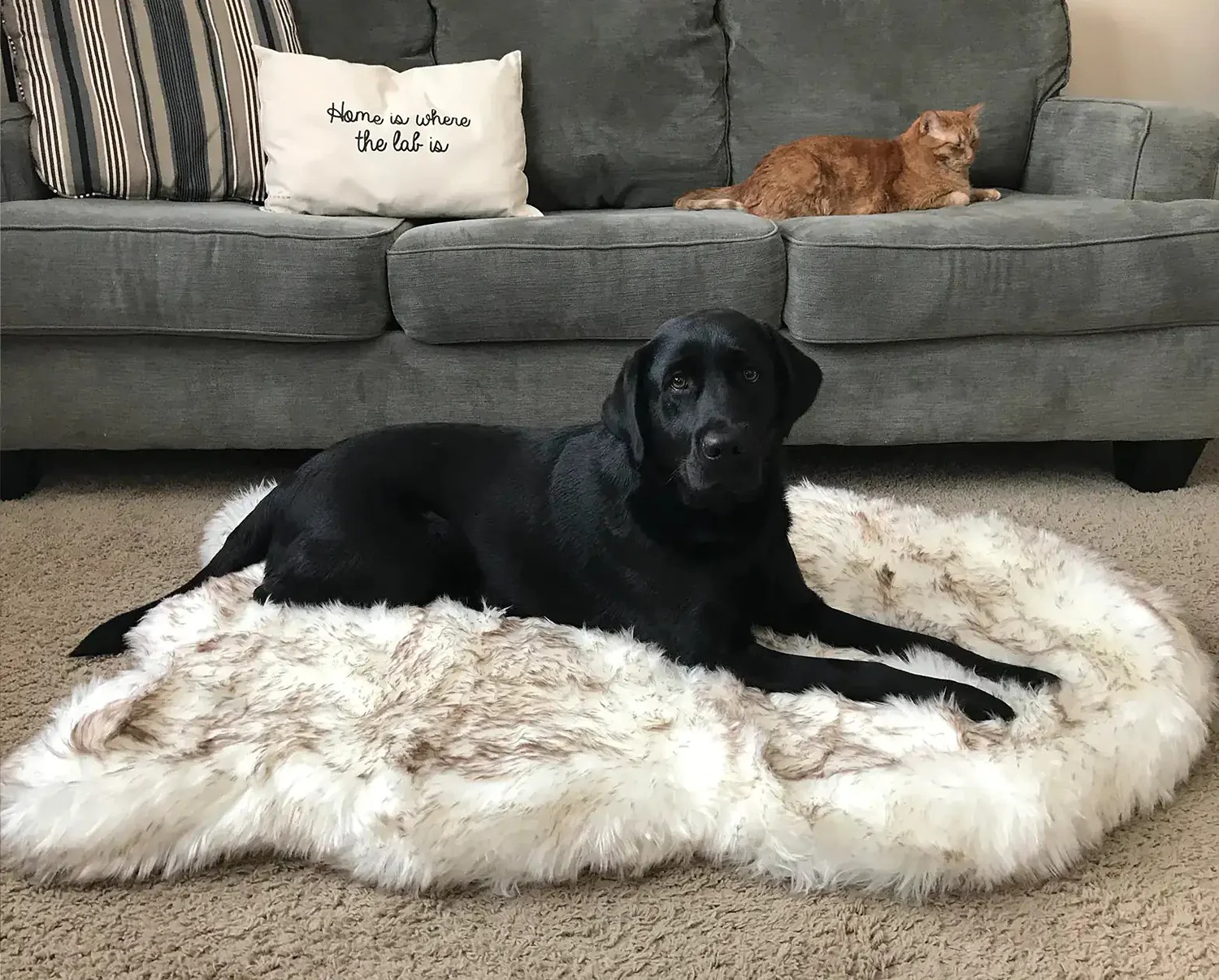 POOCH-LABS Faux Fur Dog Bed (Small 76L x 45W CM)