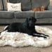 POOCH-LABS Faux Fur Dog Bed (Small 76L x 45W CM)