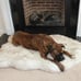 POOCH-LABS Faux Fur Dog Bed (Small 76L x 45W CM)