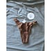 NWT Princess Polly NEVAEH SHINE Set(Bikini & Top) BROWN size 2