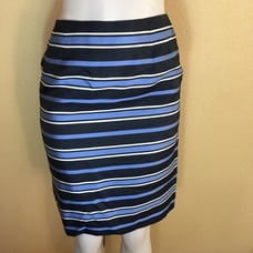 Talbots Silk Skirt