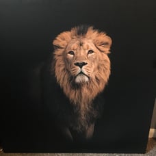 canvas painting