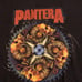 Vintage Pantera shirt