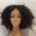 Blk And Plum Mix Lace Front Curly Wig