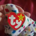 TY 2K bear