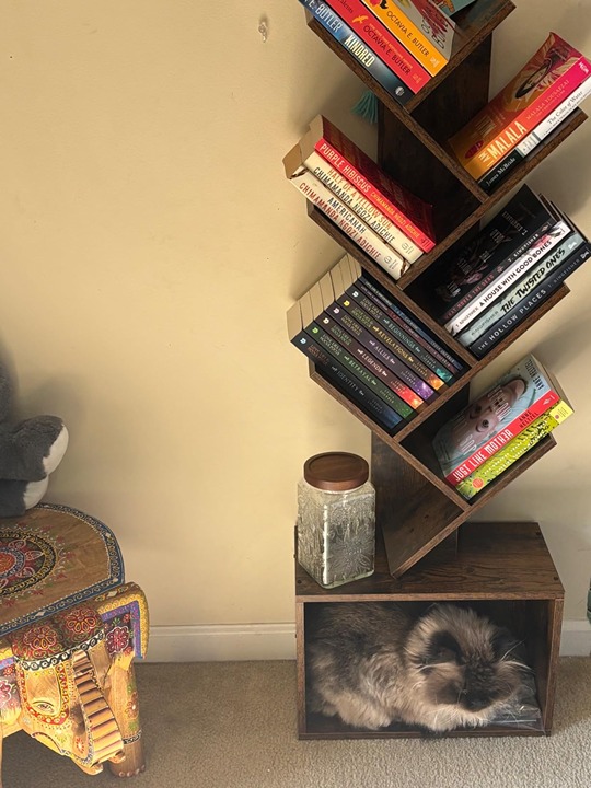 6 Tier Tree Bookshelf, Sturdy Retro Floor Standing Wood Bookcase, Storage Rack