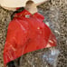 Lingerie new red n black