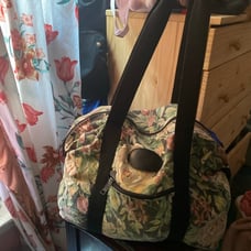 Carry on bag