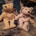 Bamm Beanos beanie bears