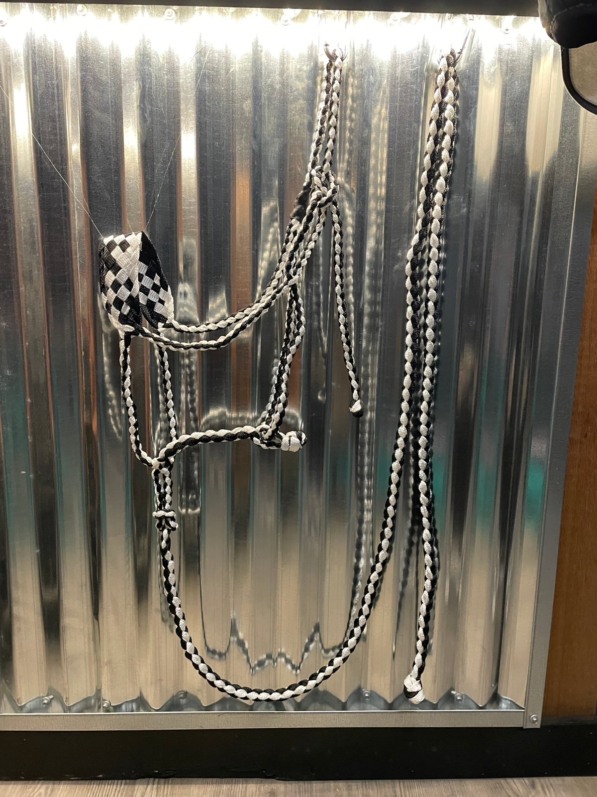Black and White Hand Braided Mule Tape Halter