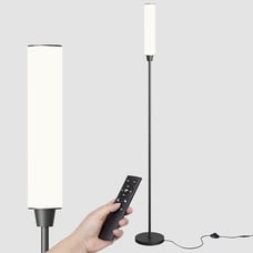 Floor Lamp with Remote Control Bright Light Black