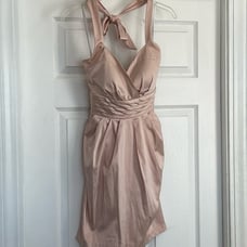 Ballet Pink Silky Dress