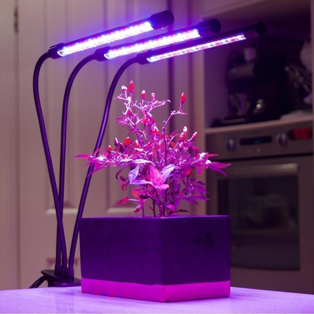LED Grow Light for Indoors