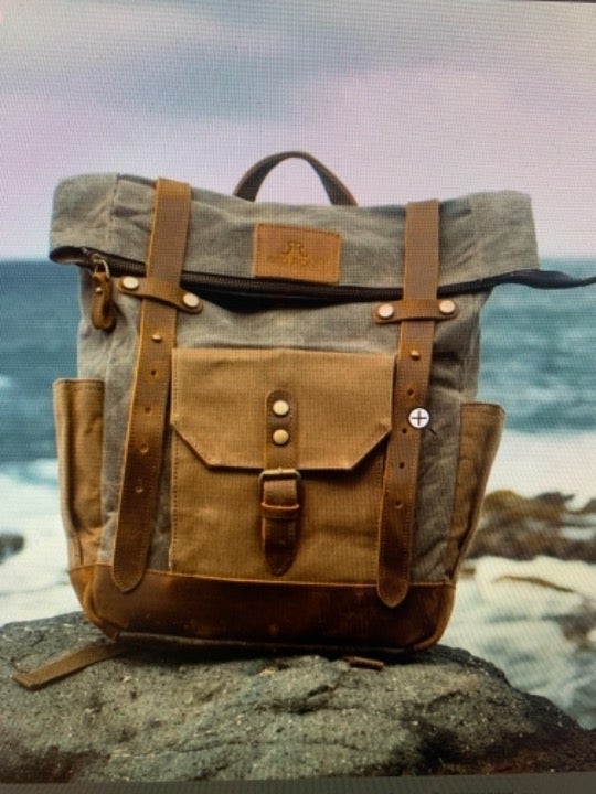 Leather back pack