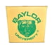Vintage Baylor University Stadium SEAT CUSHION 15 15 NCAA SWC