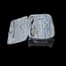 Ricardo Beverly Hills carry on luggage bag