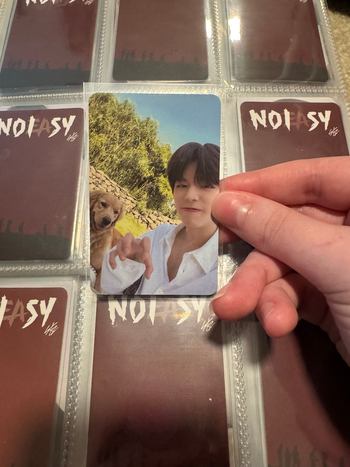 Phuwin LOL 2025 Photocard Gmmtv | Mercari