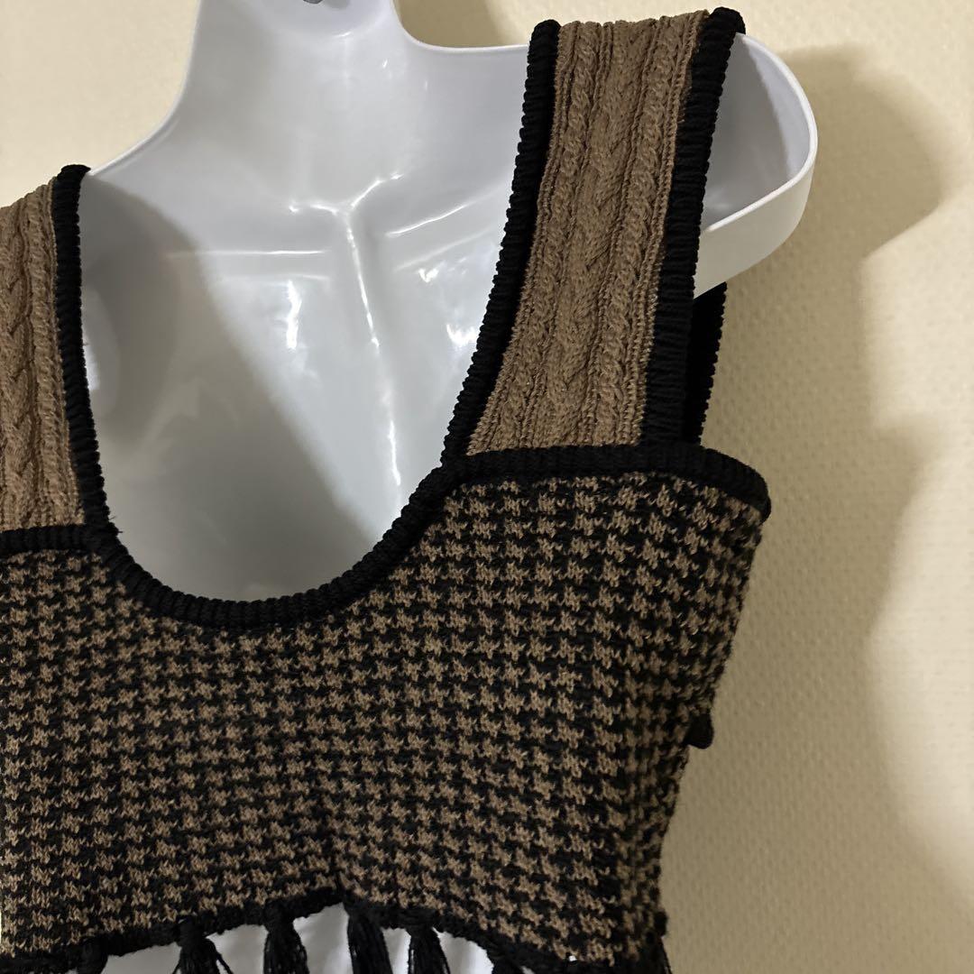 I Am A Mixed Pattern Fringe Knit Bustier.