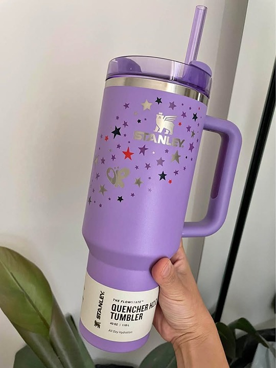 Stanley Olivia Rodrigo Tumbler 40oz