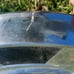 2 1980's chevy truck hub caps