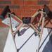 Folding Walker