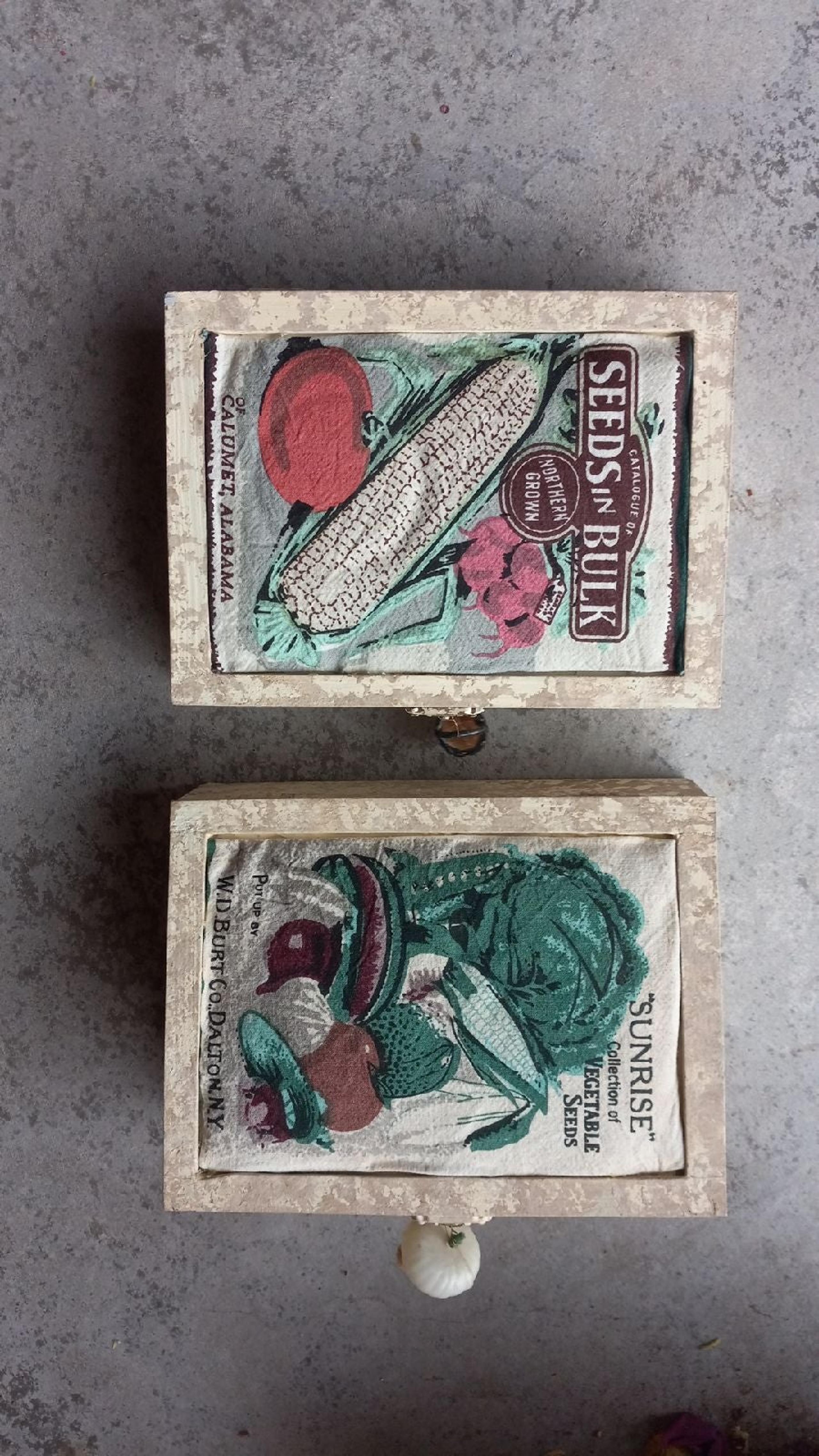 Two wooden boxes with seeds and harvest