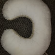 boppy pillow