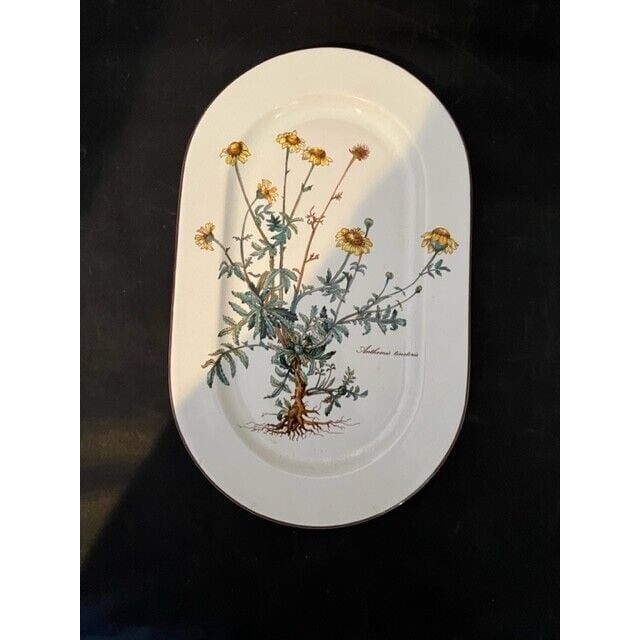 Vintage Villeroy Boch Botanica Serving Plate Anthemis tinctoria 8x13 inches