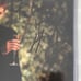 Joseph Morgan Vampire Diaries Originals Autograph Signed 8x10 Photo TO CINDY