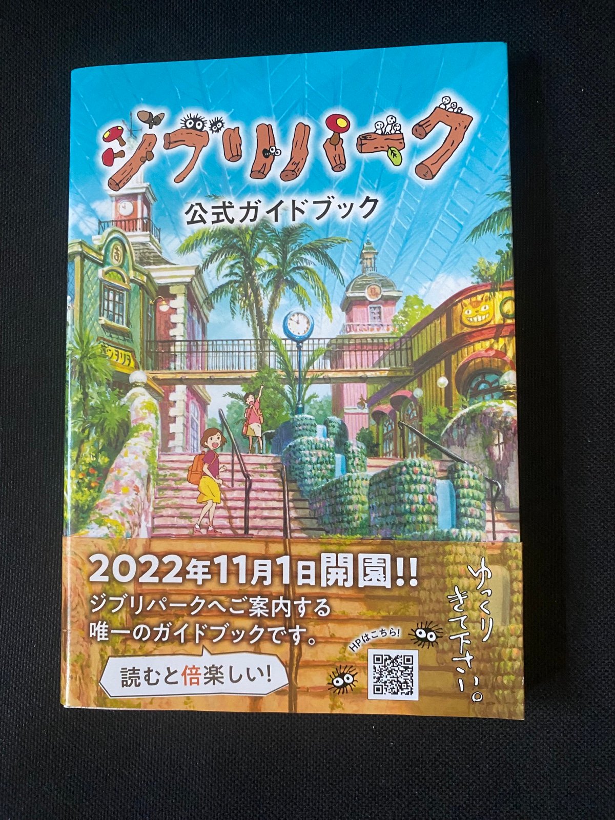 Studio Ghibli Japan book Totoro Ponyo spirited away anime Sanrio hello kitty