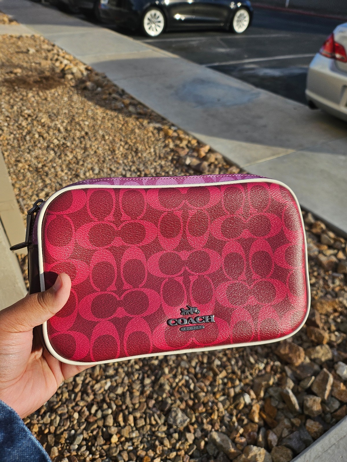 Coach large crossbody bag