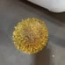 ANTHROPOLOGIE Sisal Bottle Brush Tree Frosted Glitter Gold Short NEW