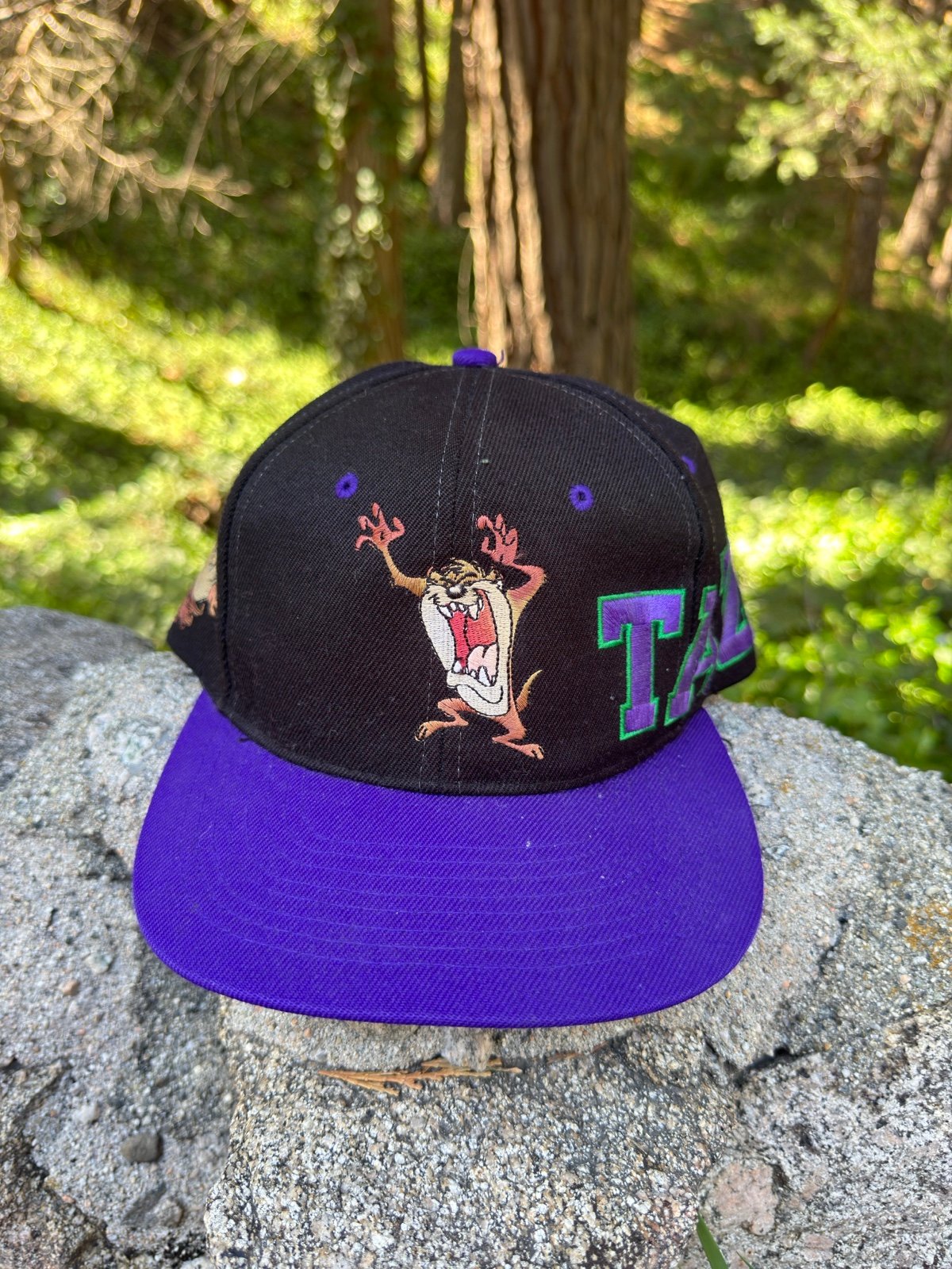 Vintage taz looney tunes snapback